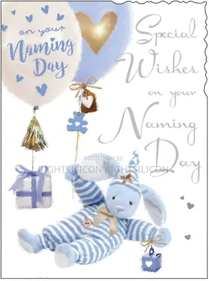 Usa Jonny Javelin Baby Boy Special Wishes on Your Naming Day Card