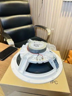 Lucky Tone Ceiling Speakers With Woofer