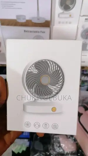 Quality Mini Hand Fan for Souvenirs