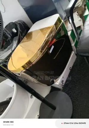 Gold Smart Sensor Toilet