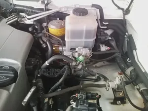 Toyota Land Cruiser 4x4 2004 Brown