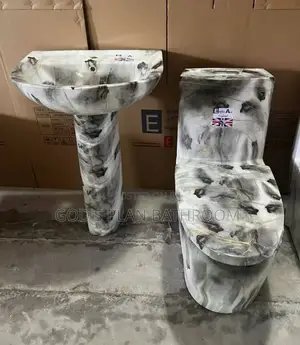 Galvanize Color Toilet