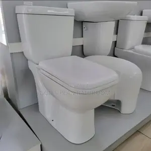 Hanging Basin With Toilet