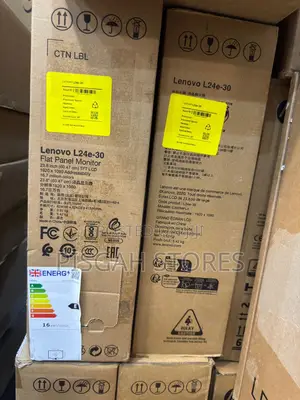 Lenovo L24e-30 FHD W-Led 24’’Inches Display Monitor