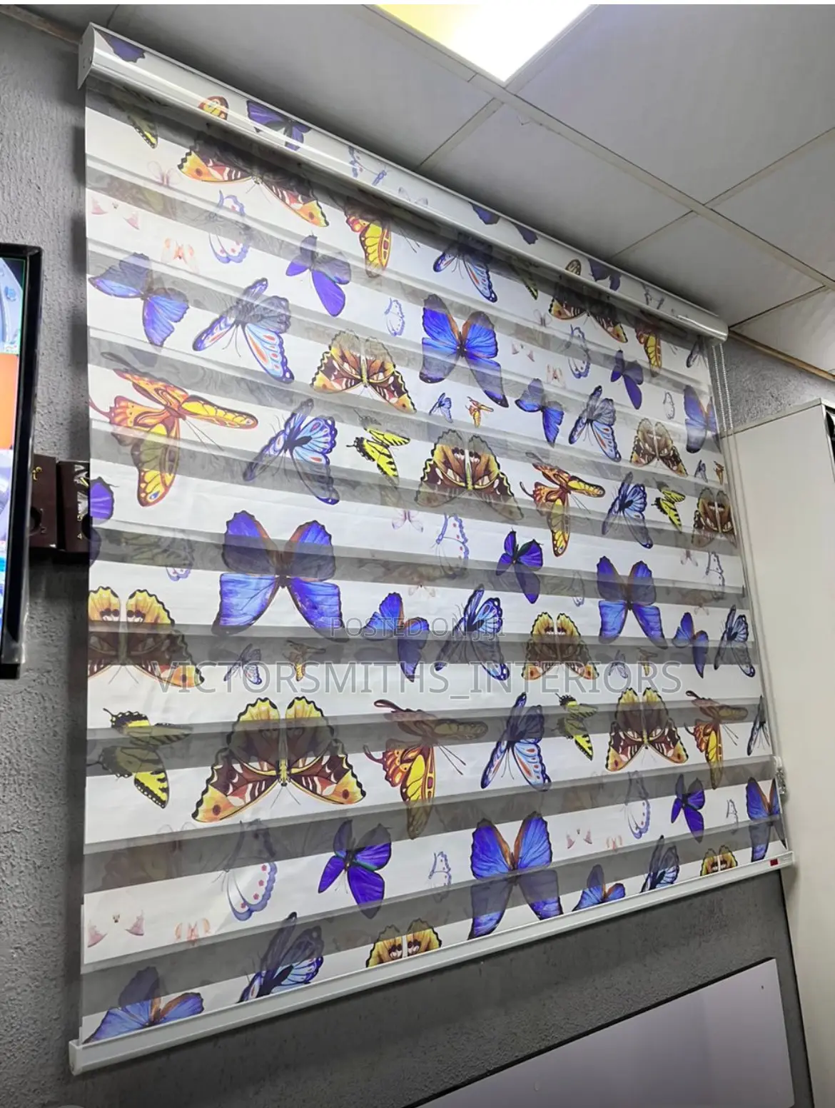 Children’S Zebra Blinds