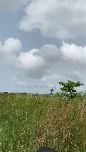 Massive Property(10 Acres) for Sale at Igbede (After Ajangbadi), Lagos