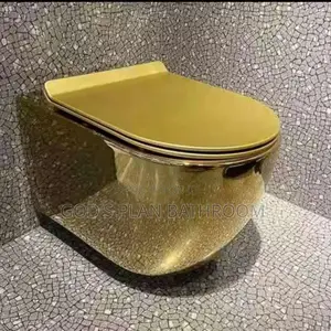 Gold Wall Hung Toilet
