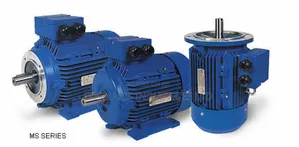 Maris Foot Mounted Electric Motors