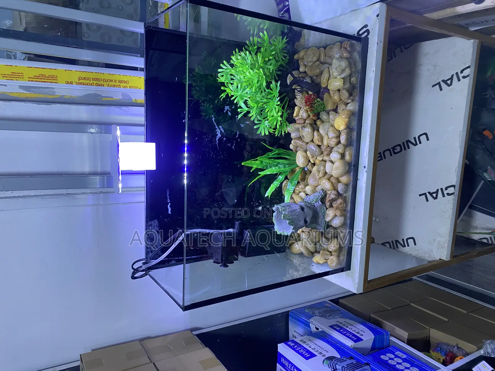 Mini Table Top Aquarium