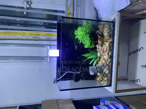 Mini Table Top Aquarium
