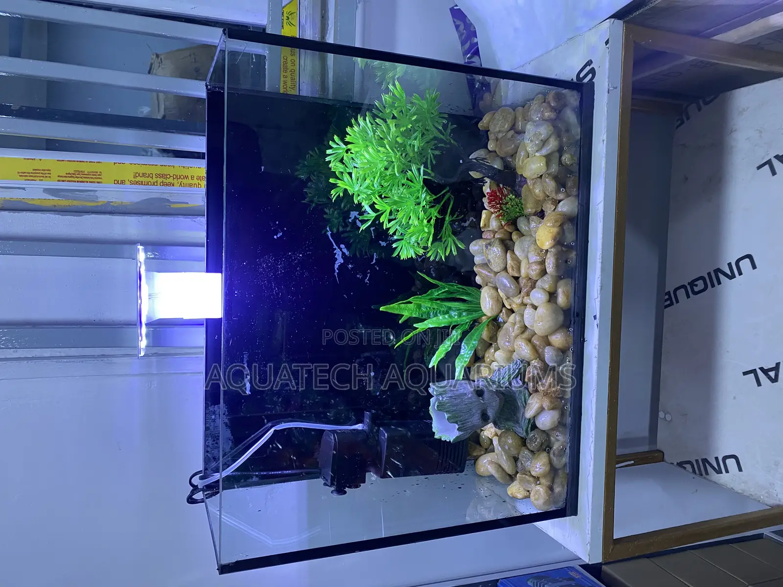 Mini Table Top Aquarium