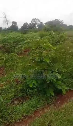50x100sq.Meter: Land for Sale at Orji River.