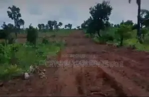 50x100sq.Meter Land For Sale At Akwukwu Igbo Delta State.