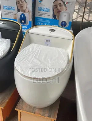 Tankless Water Closet Wc