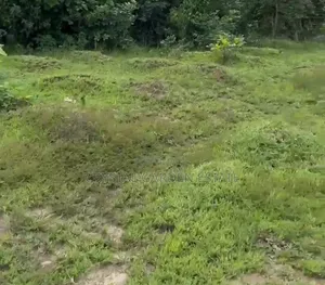 50x100sq.Meter; Land for Sale at Edoh Ogwashi.
