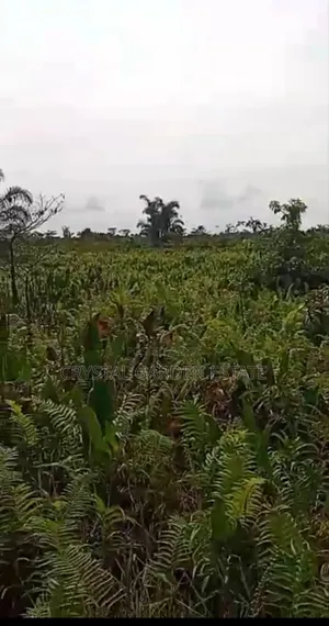 50x100sq.Meter Land For Sale At Achalla Anambra State.