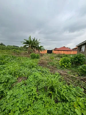 511 SQM Wet Land for Sale at Idi Orogbo Ojurin Akobo Area Ibadan