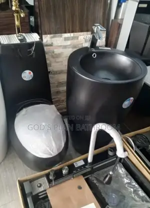 Executive Master Black Toilet