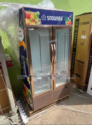 Double Door Snowsea Chiller