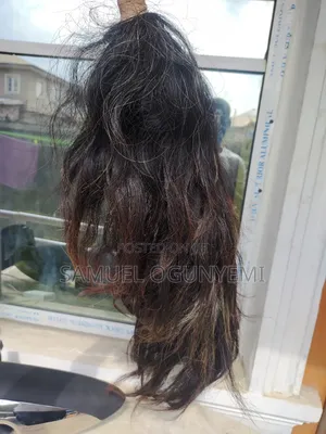 Horse Tail Original