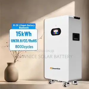 Large 15kw 48v Lithium Ion Home Electricity Lifepo4 Powerwall