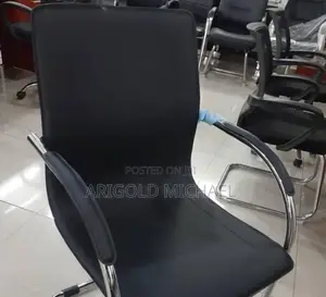 Visitors or Conference Chair
