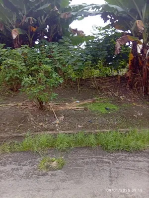 725 SQM of Land for Sale Off Ibb Uyo
