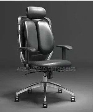 Imported Kidney Chair for Waist Pain