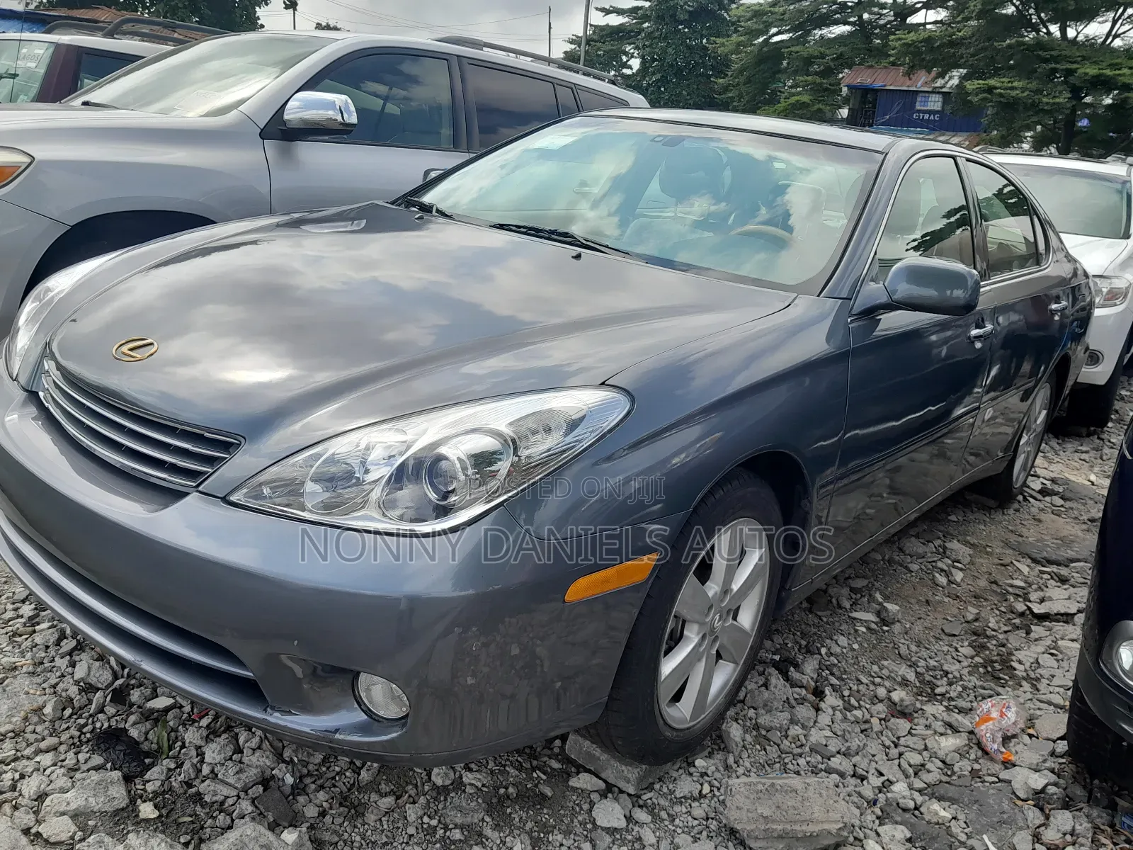 Lexus ES 330 2006 Gray