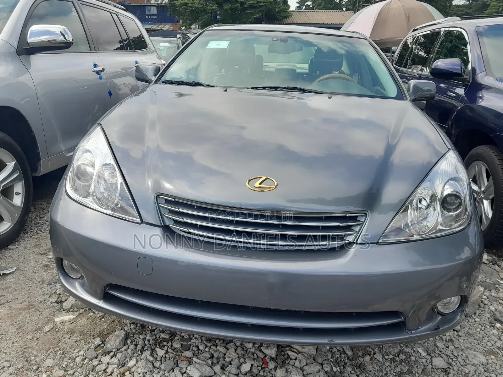 Lexus ES 330 2006 Gray