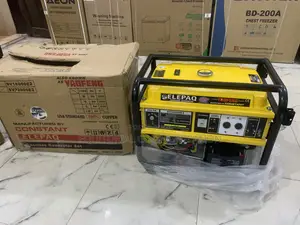 Elepaq Sv22000e2 – Constant Output, Maximum Reliability