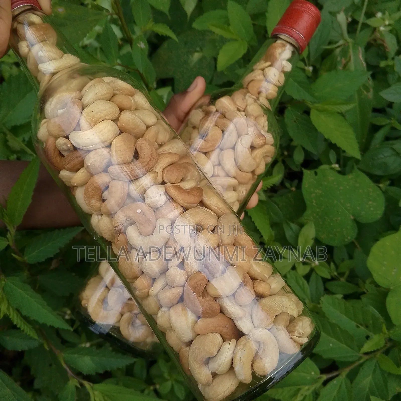 Cashew Nuts, Roasted Cashew Nuts