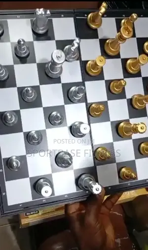 Gold and Silver Magnetic Chess Game