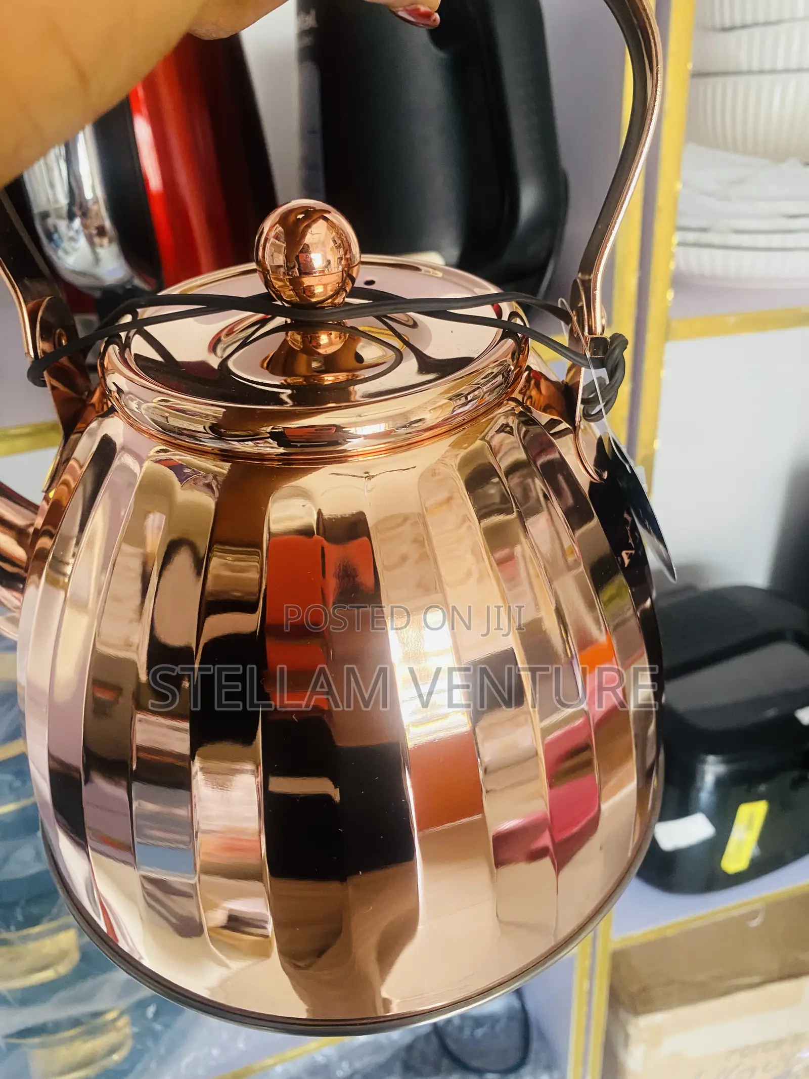 Luxury Kettle /Tea Pot