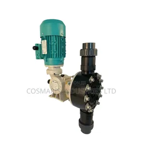 Newdose Chemical Dosing Pump