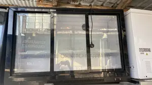 Refrigerator Chiller 300l Capacity