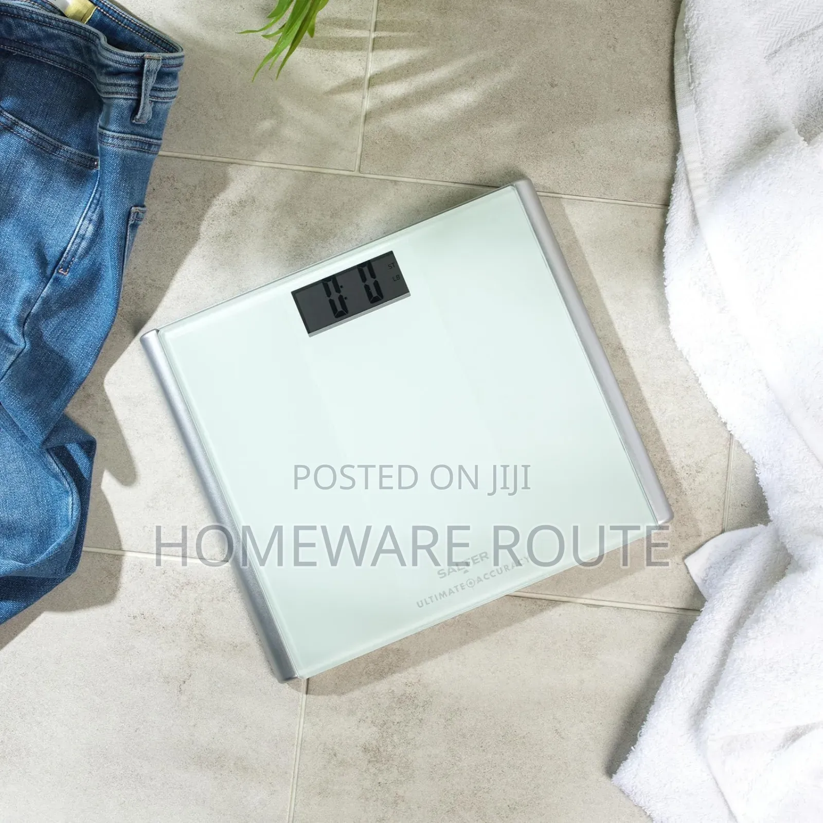 Salter Ultimate Accuracy Electronic Scale
