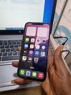 Apple iPhone 12 Pro Max 128 GB Gray