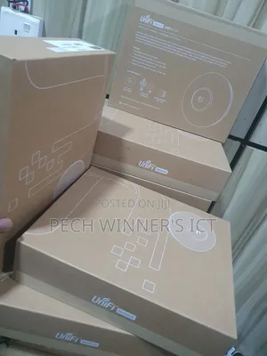 Ubiquity Long Range Access Point.