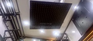 Condit Shower Overhead