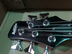 Ibanez Gio 5 Strings Professional Bass Guitar