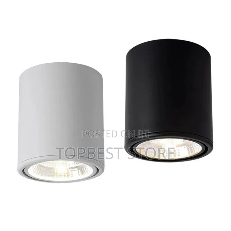 High Quality Led Downlight Cob Surface Mounted Ceiling Lamp