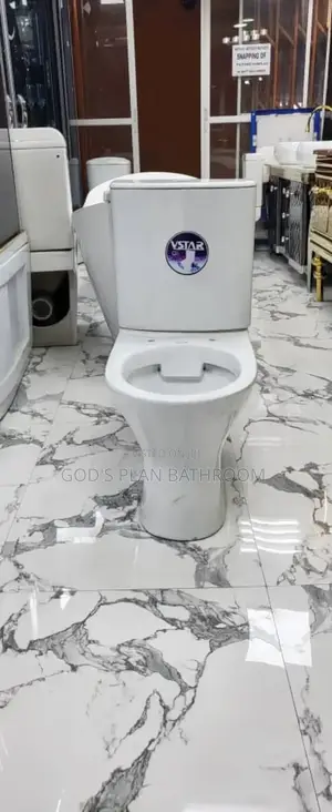 Executive Vstar Toilet With Basin