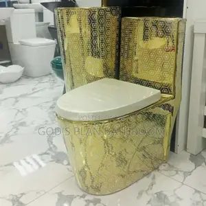 Complete Gold Toilet With Basin