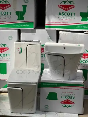 Alcott Toilet and Basin