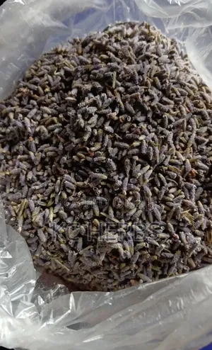 Lavender Powder From 50g