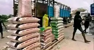 Premium Stone Free Rice