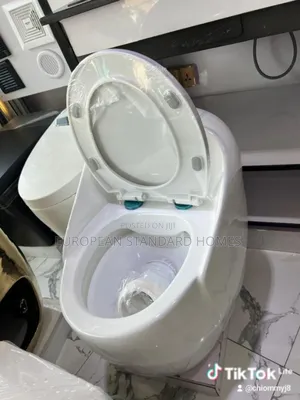 Egg Shape Toilet