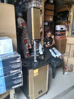 Rechargeable 15 Inches Subwoofer and 3in1 8 Inches Public Address