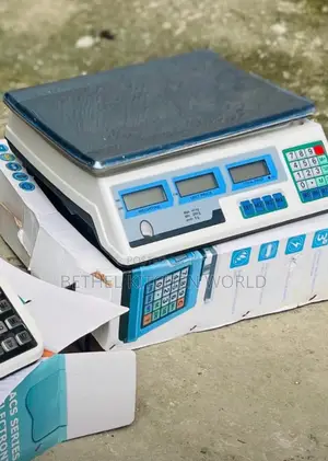 Standard 40kg Camry Scale